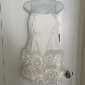 NWT Akira White Feather and Rosette Dress